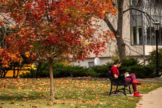 Student on park bench under tree